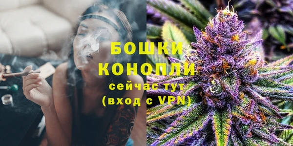 шишки Медногорск