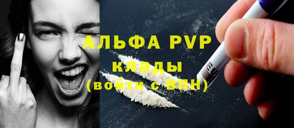 индика Мегион