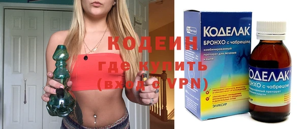 индика Мегион