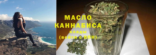 индика Мегион