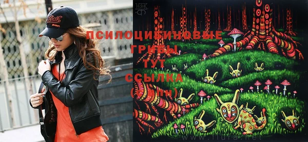 индика Мегион