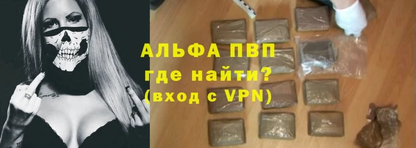 индика Мегион