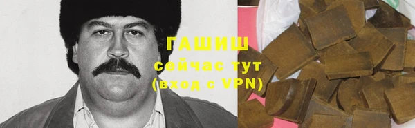шишки Медногорск