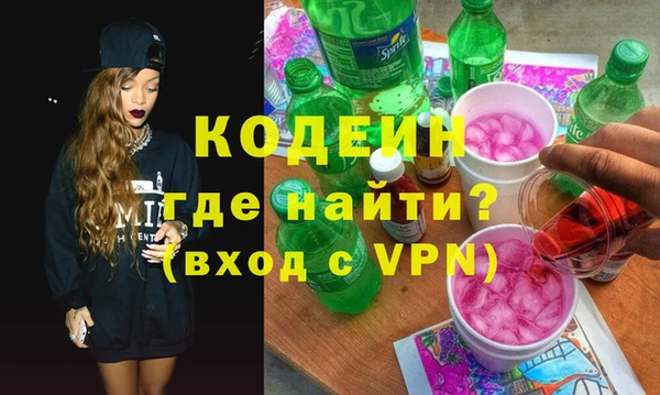 индика Мегион