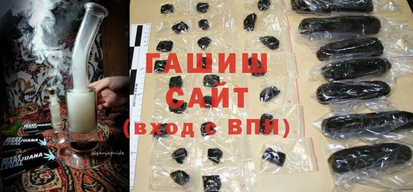 индика Мегион