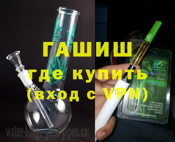 индика Мегион