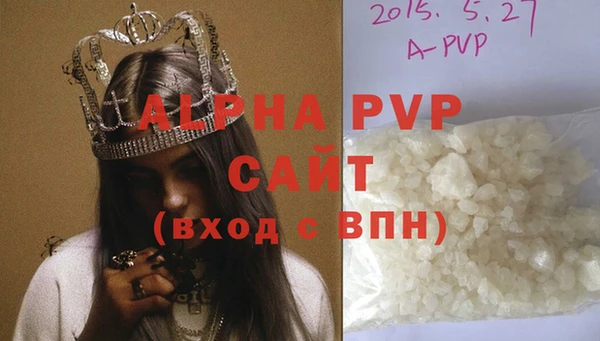 индика Мегион